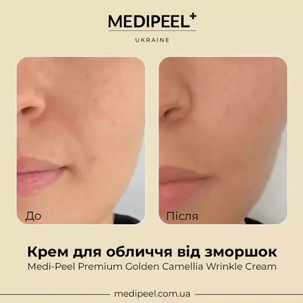 Medi-Peel Premium Golden Camellia Wrinkle Cream